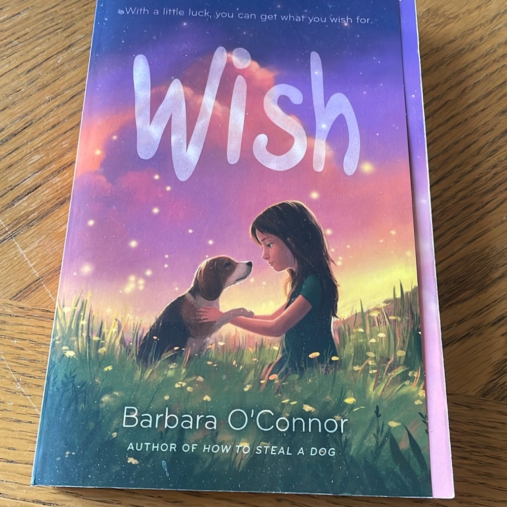 Wish Softcover Book by Barbara O’Connor